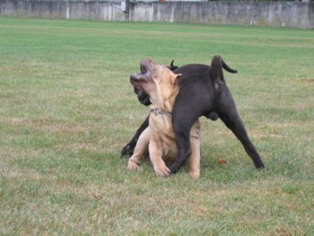 Une fois sur place...