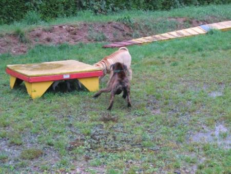 Avec ma copine Croquette...