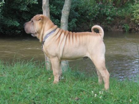 Et au bord d'une rivi�re...