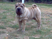 Et toi aussi fr�ro !