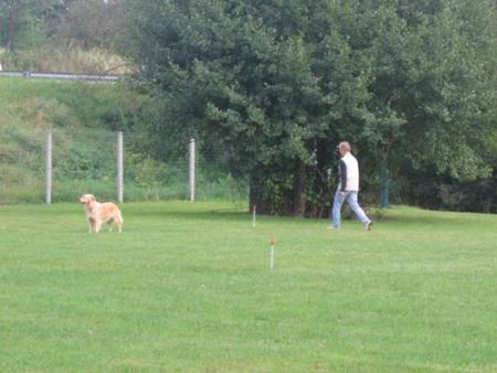 Hein, rester sur place sans mon ma�tre ?!!!