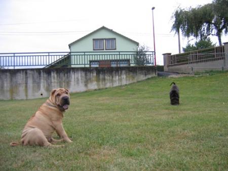 Nous sommes all�s...