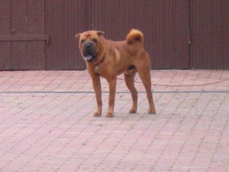 En passant devant une maison...