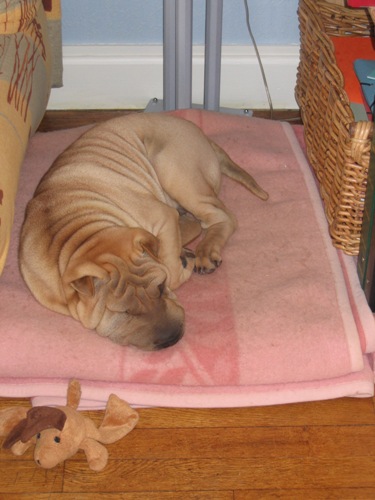 Apr�s m'�tre bien d�foul�...