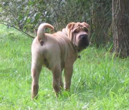 Ha, vous �tes l� ?