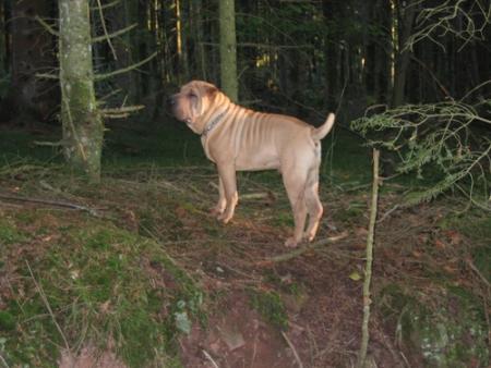 H�h�, je suis content...