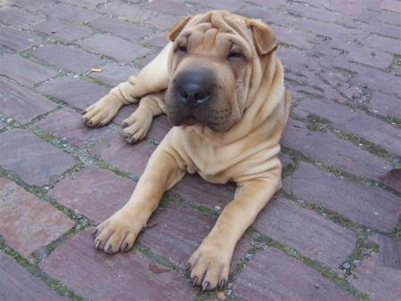 5 mois aujourd'hui...