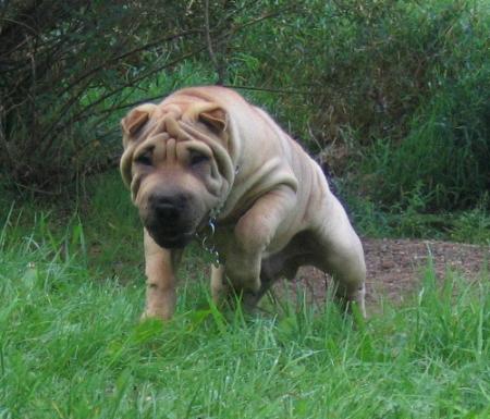 Regardez-moi cette pouille !