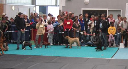 Allez, hop ! Dans la bataille...