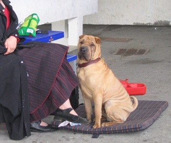 Un peu de r�confort...