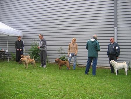 Expo Nationale de Bar-le-Duc 2006