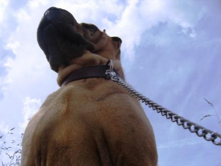 Je monte la garde...