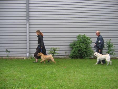 Allez ! Hop hop hop !