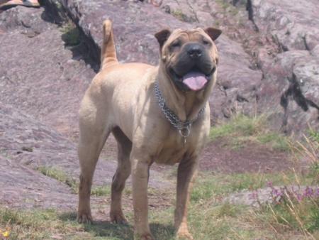 Au val sans retour...