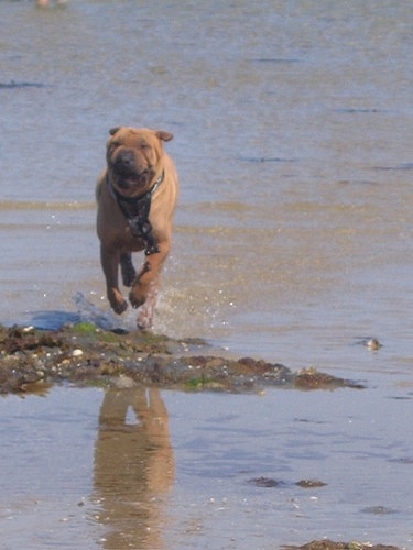 Athys ne change pas...