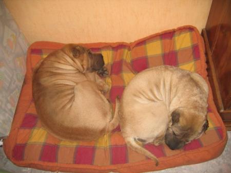 Apr�s une longue absence...