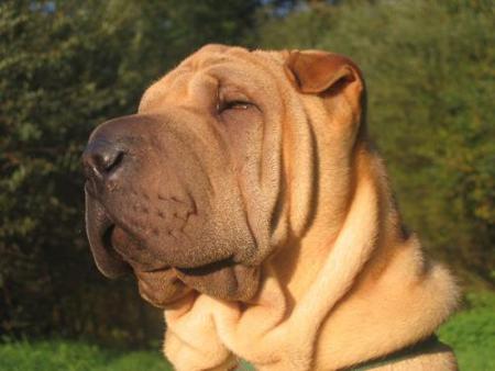 Notre �toile � nous...