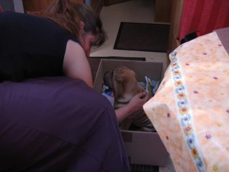 Sur la route du retour...