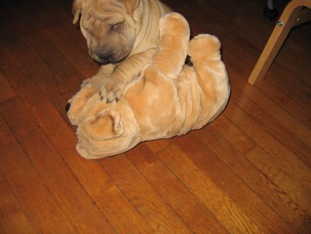 Aussi grand, mais...