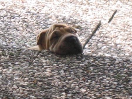 Un b�b�, quand c'est fatigu�...