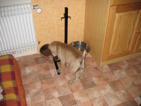 Premier repas � la maison...