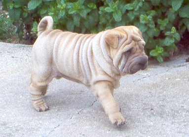 N'est-il pas mignon...