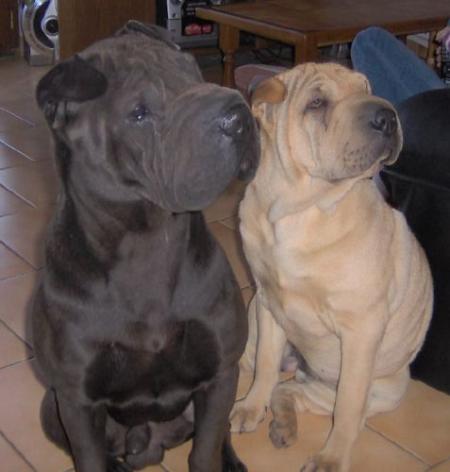 Voici quelqu'un dont je n'avais plus de nouvelles...