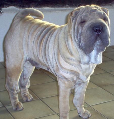 Arf ! C'est p� juste...