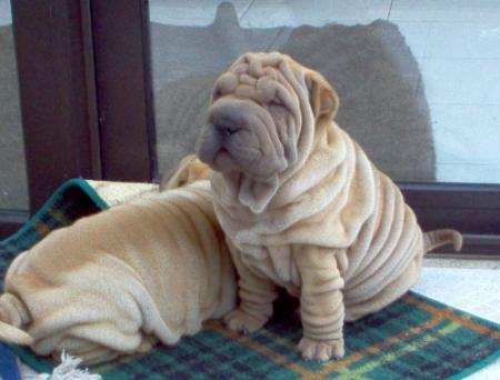 Et lui, vous le reconnaissez ?