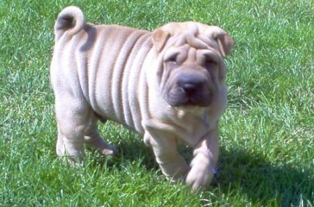 Et lui, vous le reconnaissez ?