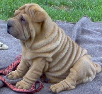 Et oui, encore lui !