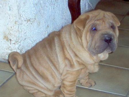 Ho, c'est qui ce petit malheureux ?