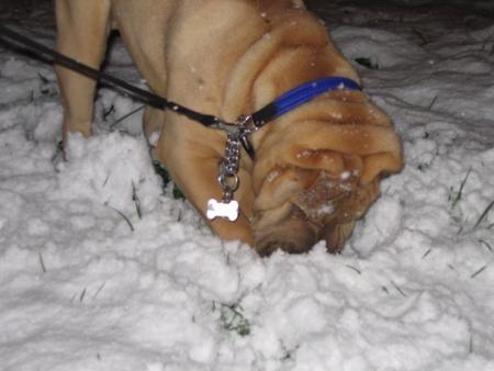 En plus, c'est amusant...