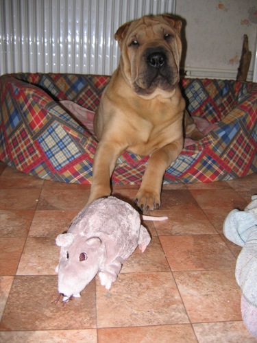 H� ? C'est quoi �a ?