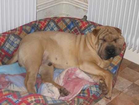 C'est pas le panard �a ?