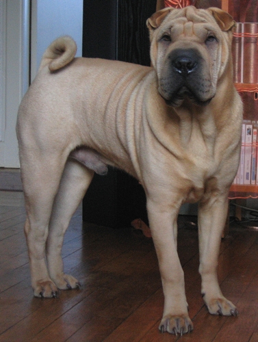 H�h�, quel jour sommes-nous ?...