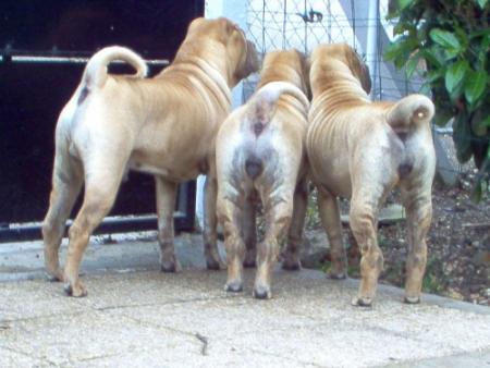 Je ne sais pas ce qui se passe mais...