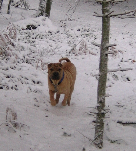 H�h�... regardez-moi...