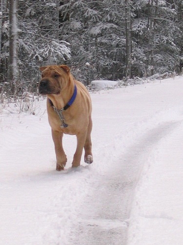 Mais cela ne m'emp�che pas...