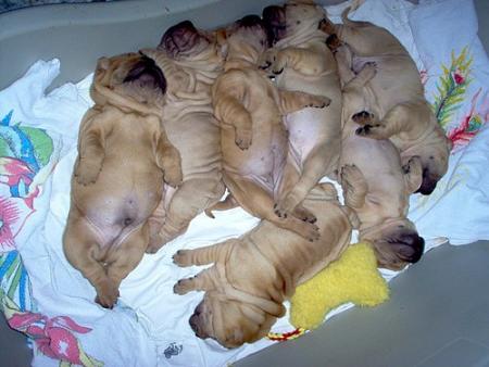 Un mois plus tard...