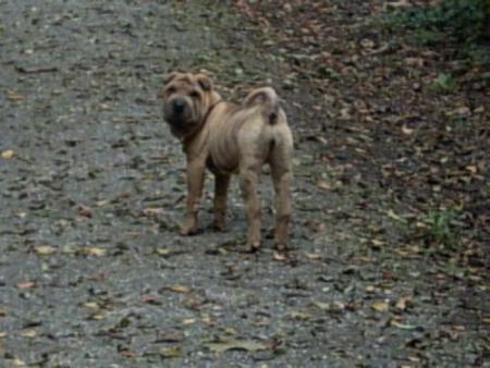 Regardez cette petite truffe...