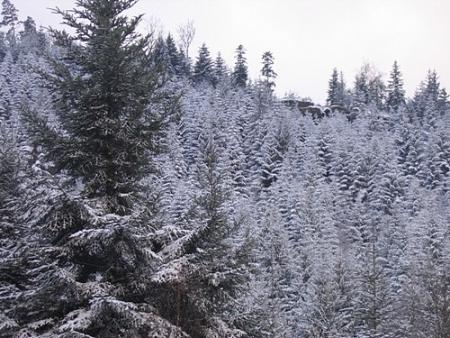 Je ne reconnais plus grand chose !