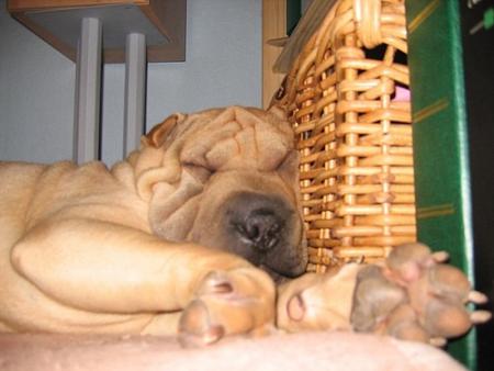 Mais ne croyez pas que la situation a chang�...