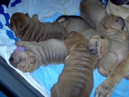 Dix jours apr�s la naissance...