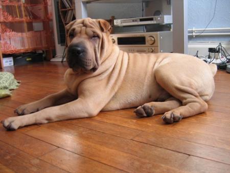 H�h�, pauvre fr�ro...