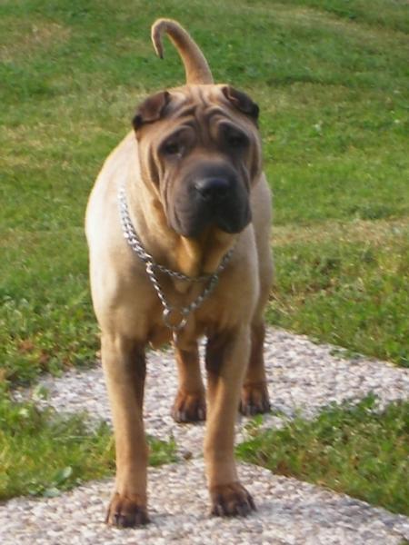 Honey est toujours l�...