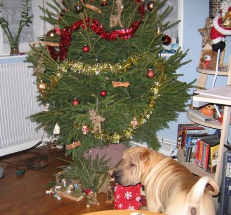 Mais... qu'est-ce que...