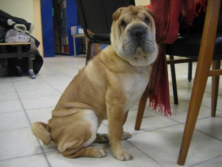 Je vous pr�sente...