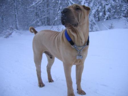 Bon c'est pas le tout...