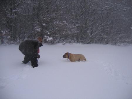 Quand je vous dis...